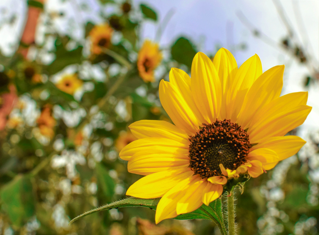 tumblr_p6wgjwp3wX1xp69eco1_1280.jpg