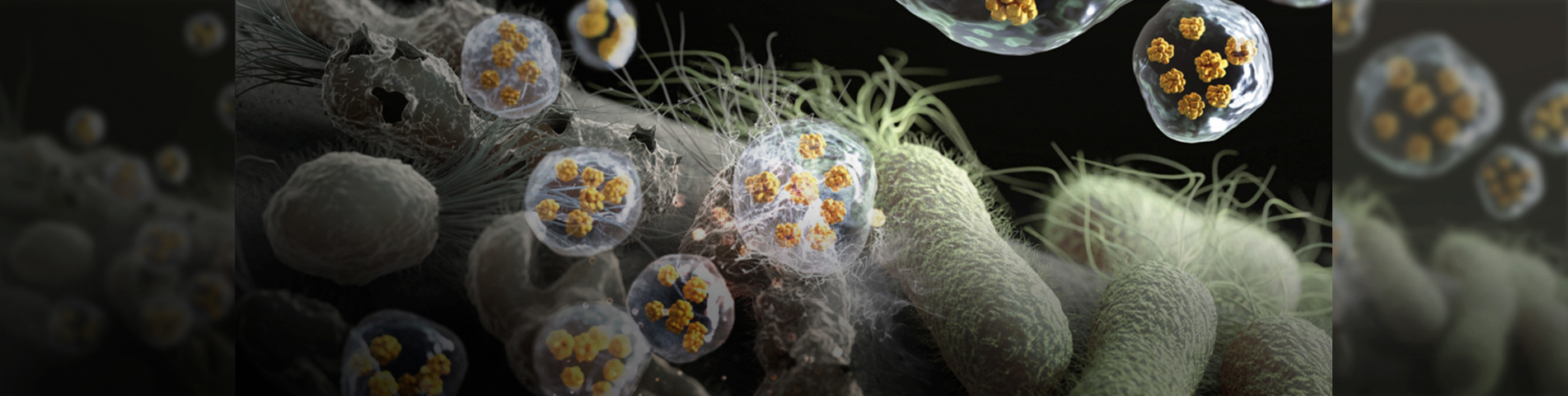 New Way to Combat Super Bacteria 이미지입니다. 