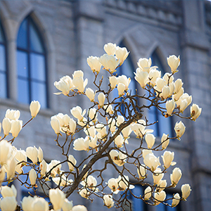 이미지 설명입니다